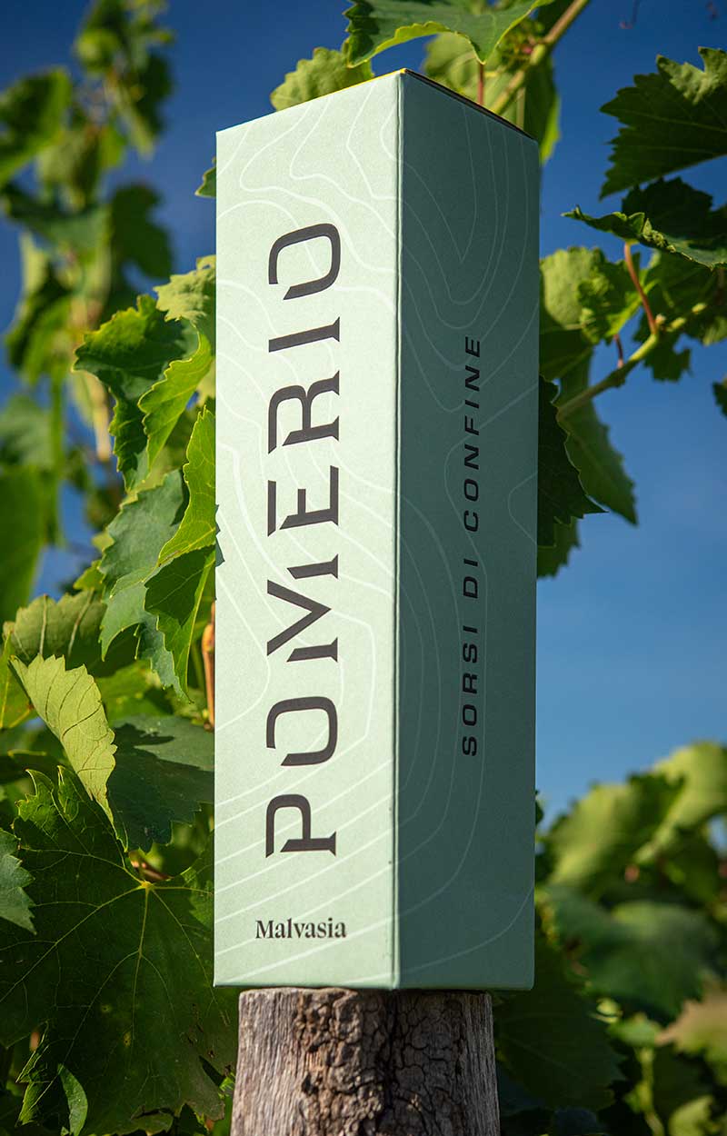 Primo piano dell'astuccio da una bottiglia di vino Malvasia Pomerio appoggiato al palo di testata della vigna in una giornata soleggiata.