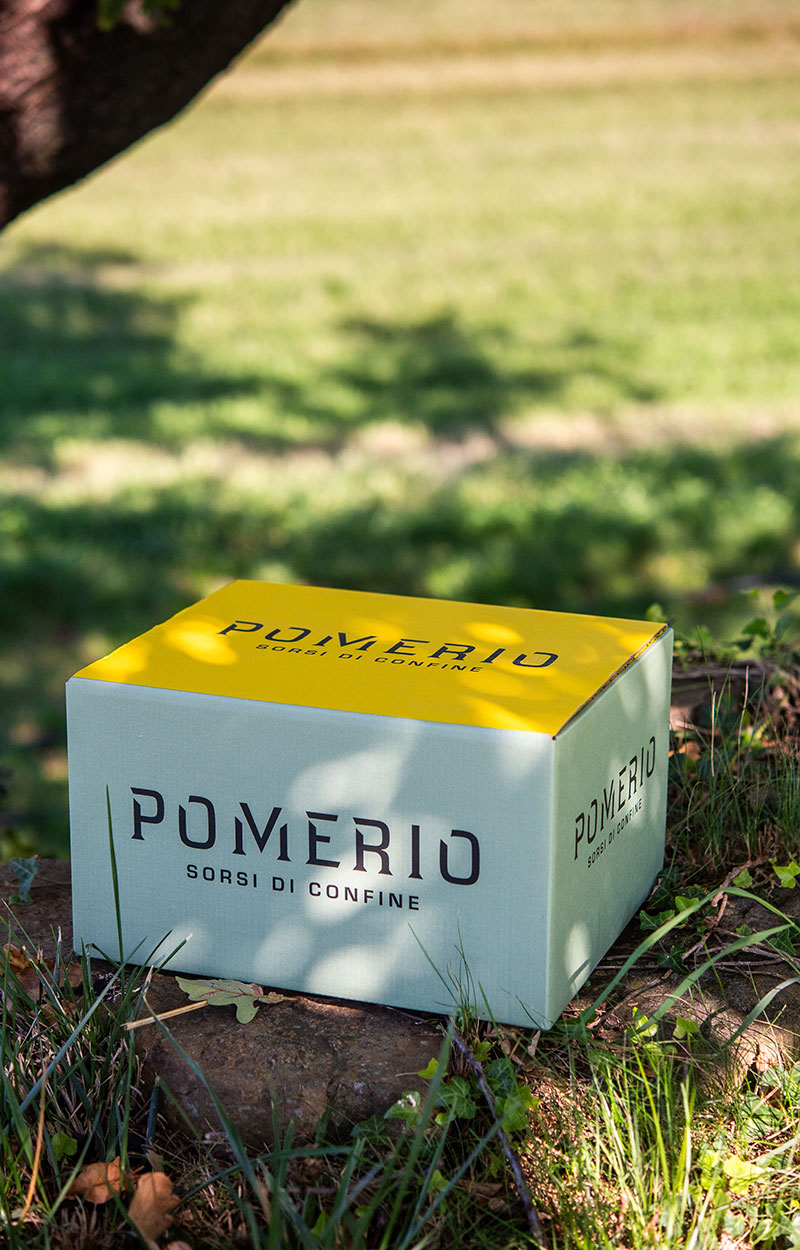 Confezioni personalizzata da sei bottiglie di vino bianco Pomerio IGT Venezia Giulia all'ombra di un albero in una giornata estiva.